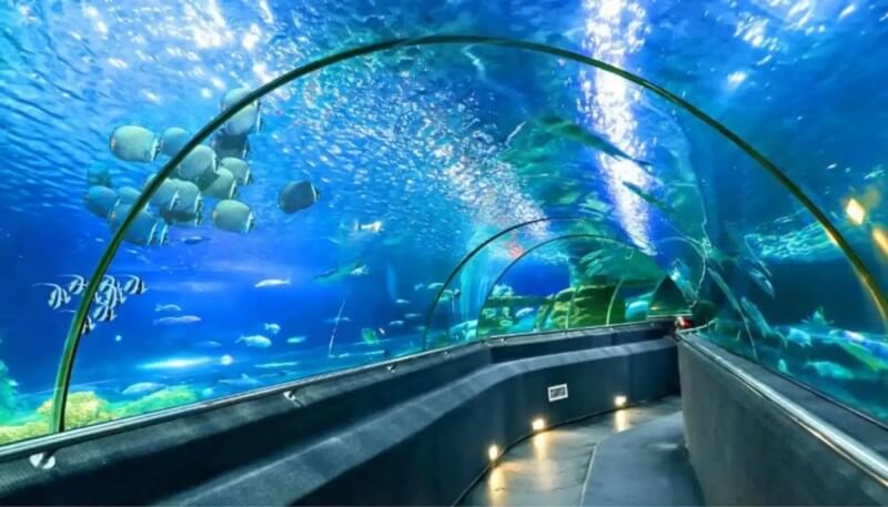 taxi sân bay cam ranh đi nha trang Viện Hải Dương học Nha Trang