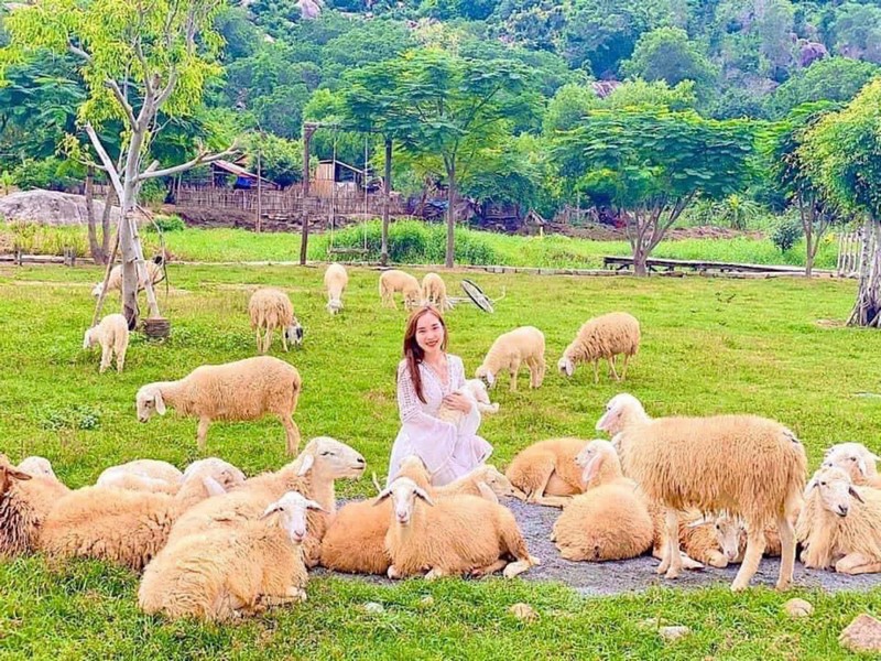 Tuyến sân bay Liên Khương đi Đà Lạt tại Phan Gia Travel
