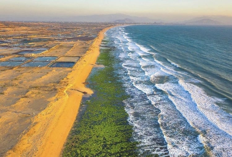 ninh thuận mùa nào đẹp Đặc trưng thời tiết Ninh Thuận theo tháng