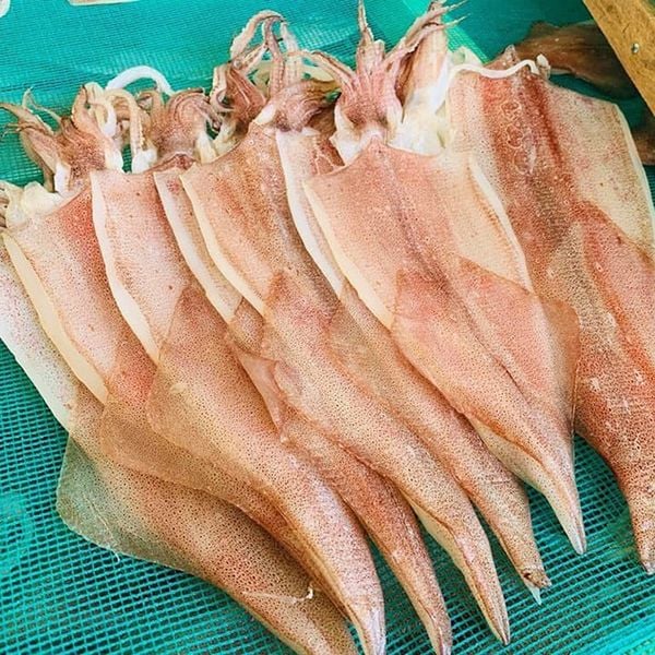 Mực một nắng – món quà của biển Phan Rang