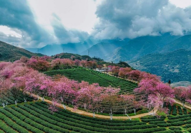 tháng 12 nên đi du lịch ở đâu miền trung Gợi ý các điểm đến Nam Trung Bộ ít mưa, nắng đẹp lý tưởng tháng 12