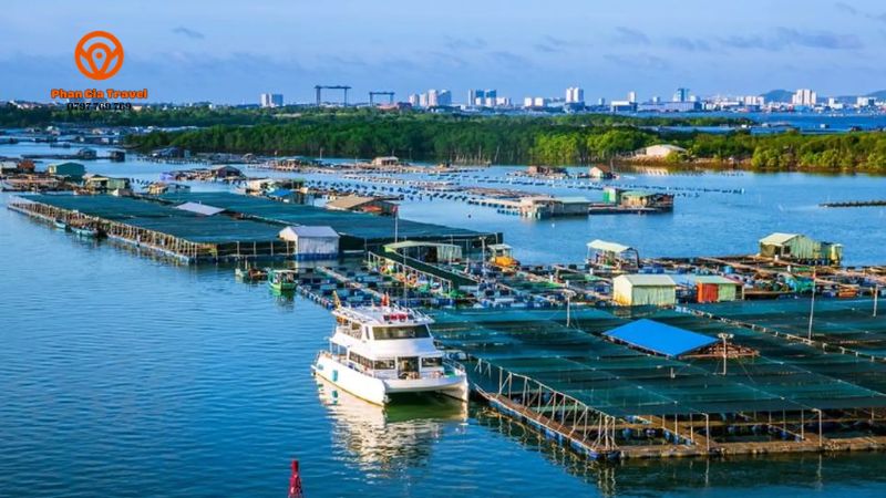 Làng bè Long Sơn - Trải nghiệm thiên đường hải sản tươi sống